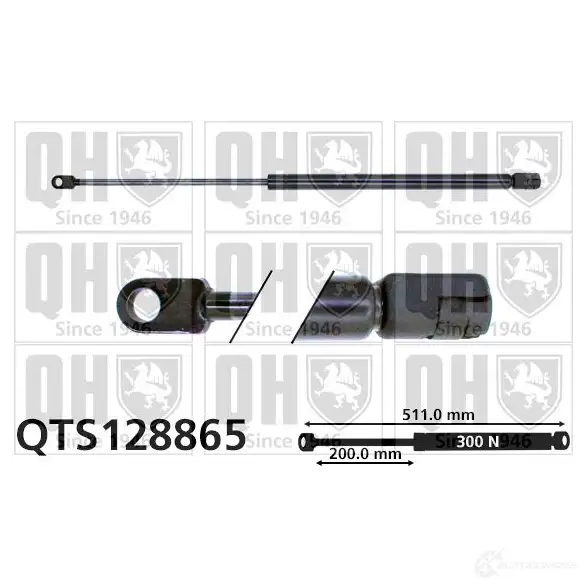 Амортизатор багажника, упор задней двери QUINTON HAZELL qts128865 5016593859371 688785 N3JN 49