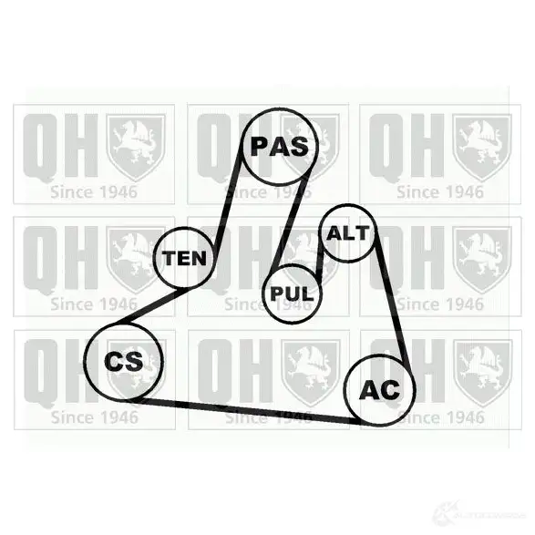 Приводной ремень в комплекте QUINTON HAZELL 669370 QBR 61700 QTA1151 qdk67 изображение 0