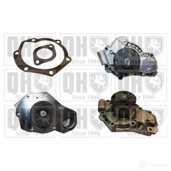 Водяной насос, помпа QUINTON HAZELL OOL DG qcp3124 5016593320505 665176