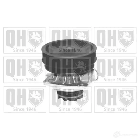 Водяной насос, помпа QUINTON HAZELL qcp3289 GL2 PS 665268 5016593620315
