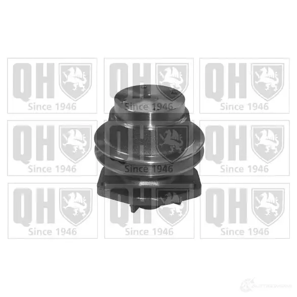 Водяной насос, помпа QUINTON HAZELL AB6E 0 5016593073036 qcp936 665887