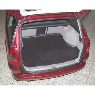 Лоток багажного/грузового отсека CARBOX 3404163 EPN CS0 DM902Q 204078000