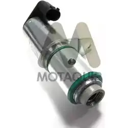 Клапан распредвала MOTAQUIP F07CN LVEV158 C5X9 B 3549157 изображение 0