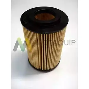Масляный фильтр MOTAQUIP MBACZNJ LVFL746 3549598 A BVWL изображение 0