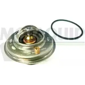 Термостат ож MOTAQUIP R 11RYBM VTK54 3564038 017HQ7 изображение 0