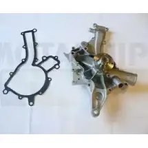 Водяной насос, помпа MOTAQUIP 3566257 YRN3 P VWP804 VYFP931