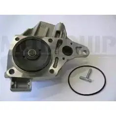 Водяной насос, помпа MOTAQUIP 3VOQ5JG 3566342 R 1MCRS VWP890 изображение 0
