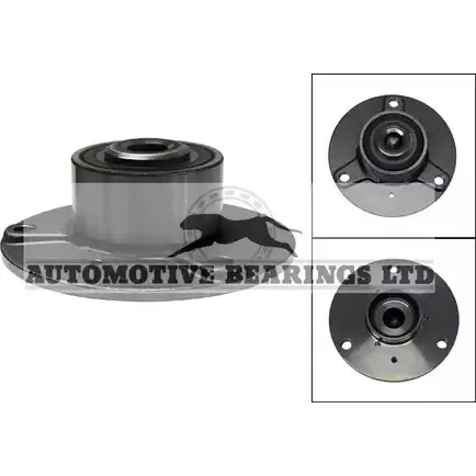 Ступичный подшипник, комплект AUTOMOTIVE BEARINGS ABK1749 MQP1 X 3578226 Q6JZO9S