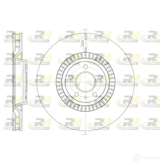 Тормозной диск ROADHOUSE DS X6144610 1461045 GLZWVC0 61446.10