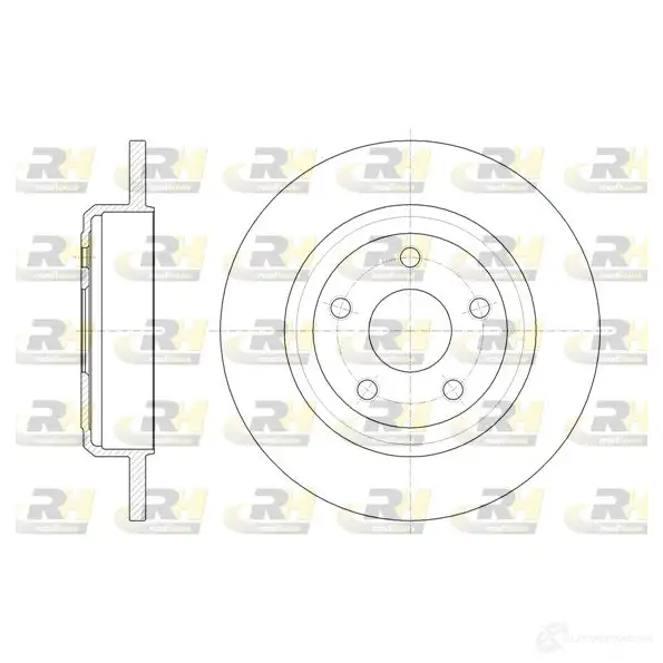 Тормозной диск ROADHOUSE 61669.00 DSX 6166900 1193920908 ZRF6X47
