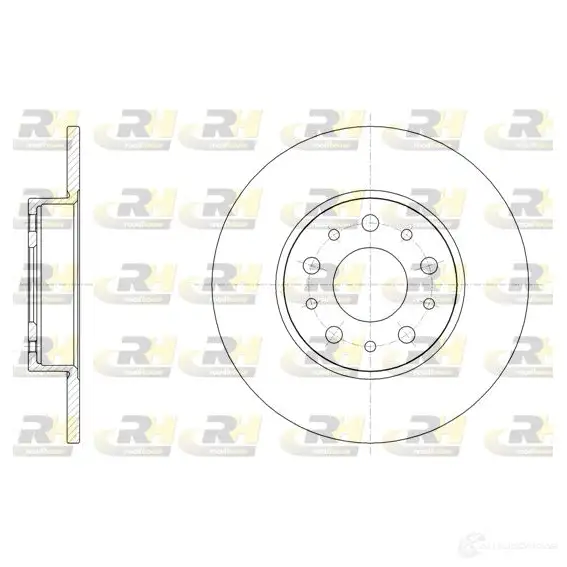 Тормозной диск ROADHOUSE 61500.00 FJYZ04 DS X6150000 1461105