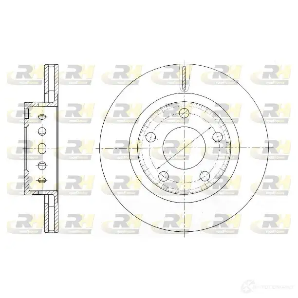 Тормозной диск ROADHOUSE 1460956 61363.10 DSX6136 310 IT8VIN