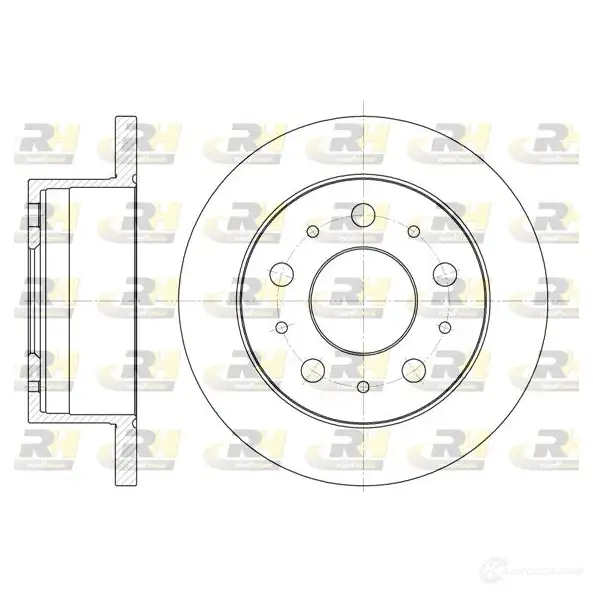 Тормозной диск ROADHOUSE DS X674100 1461804 6741.00 NYB6X