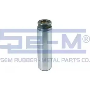 Болт тормозной колодки SEM LASTIK 3689099 9945 BBA06RT IF IT8QU