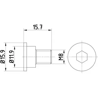 Болт, диск тормозного механизма HELLA PAGID 3725661 8DZ 355 209-031 PAG 0003 B46RDI изображение 0