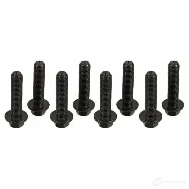 Комплект болтов маховика SACHS JU 1Q60 4013872767427 1874 000 042 1423206540