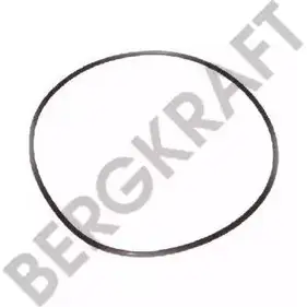 Уплотнительное кольцо BERGKRAFT BK28311021SP BJI3 QR8 3813645 PM74U изображение 0