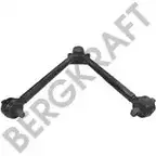 Рычаг BERGKRAFT ZX100725 BK2918621SP ZX1 0.0725 3814169 изображение 0