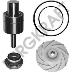 Ремкомплект, водяной насос BERGKRAFT BK4207722WP 3814685 ZX13.0 023 ZX130023
