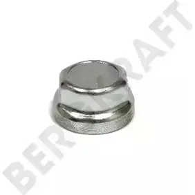 Колпак ступицы BERGKRAFT 3816344 Z X01.0080 ZX010080 BK8002309
