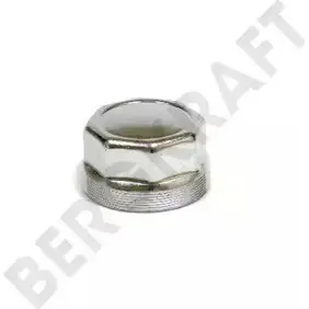 Колпак ступицы BERGKRAFT BK8002502 3816348 ZX0 1.0084 ZX010084