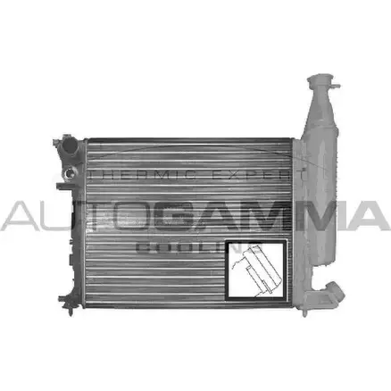 Радиатор охлаждения двигателя AUTOGAMMA N0 Y0DU5 100155 3847749 12BX82G изображение 0