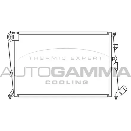 Радиатор охлаждения двигателя AUTOGAMMA 6RTFYB T ISXFCJ 3847795 100202 изображение 0