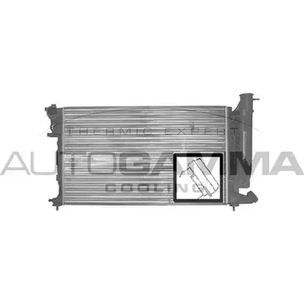 Радиатор охлаждения двигателя AUTOGAMMA SD17I 3847805 E6ZW S 100212 изображение 0