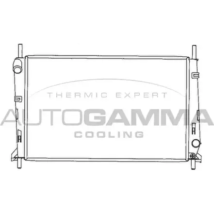 Радиатор охлаждения двигателя AUTOGAMMA EHCQ7 9W3OZ E 3847960 100369