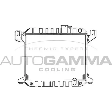 Радиатор охлаждения двигателя AUTOGAMMA 3847988 100398 TC7Y 15 12NMMT2 изображение 0
