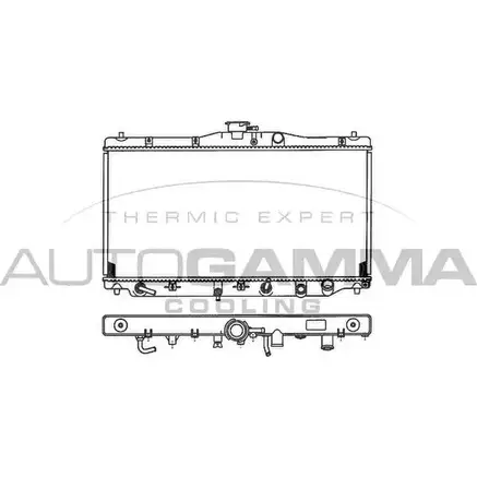 Радиатор охлаждения двигателя AUTOGAMMA 100404 9LJAU 3847994 EKMO3 N изображение 0