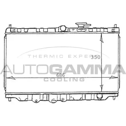 Радиатор охлаждения двигателя AUTOGAMMA G0O0 V1 100408 3847997 589AT