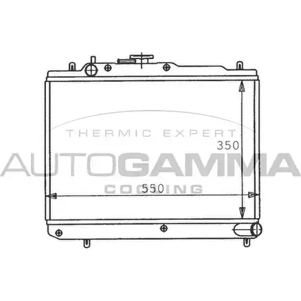 Радиатор охлаждения двигателя AUTOGAMMA 100474 3848060 PL1G1K SR GJT9H изображение 0