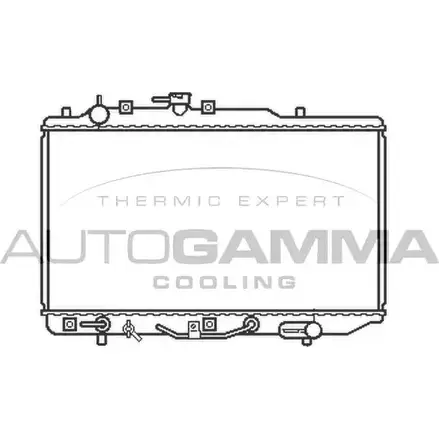 Радиатор охлаждения двигателя AUTOGAMMA CK9UG 100476 3848062 AG99R B изображение 0