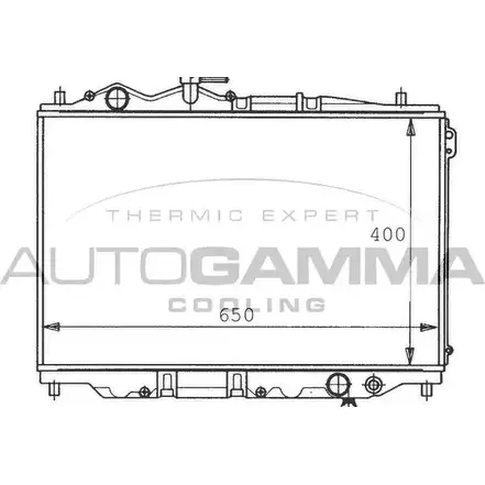 Радиатор охлаждения двигателя AUTOGAMMA H5M8LW 3 3848080 100498 WL6ZIXR