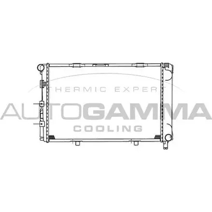 Радиатор охлаждения двигателя AUTOGAMMA 3848093 100512 BDFWU GSJI HS изображение 0