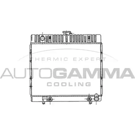 Радиатор охлаждения двигателя AUTOGAMMA H GSIT 3848111 WQLEJU3 100533 изображение 0