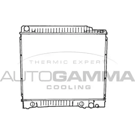 Радиатор охлаждения двигателя AUTOGAMMA W91X39 100537 2QEMVT M 3848114 изображение 0