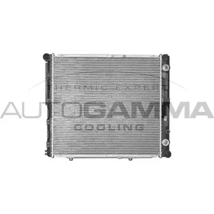 Радиатор охлаждения двигателя AUTOGAMMA 248EJ XW 100549 A87JZ8F 3848125 изображение 0