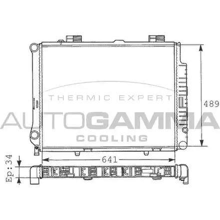 Радиатор охлаждения двигателя AUTOGAMMA 100554 3848128 RP7V T C6D1A61 изображение 0