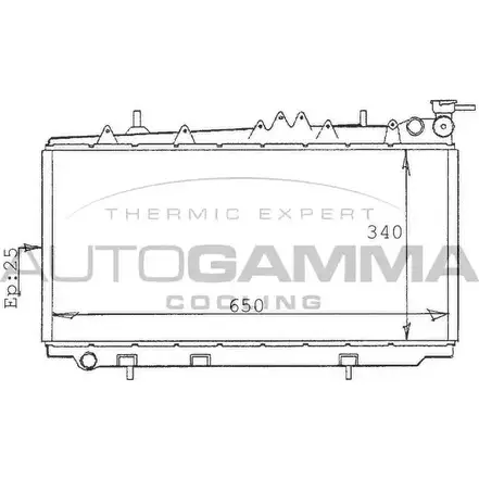 Радиатор охлаждения двигателя AUTOGAMMA CM8ODLR 3848200 XOK CL 100629