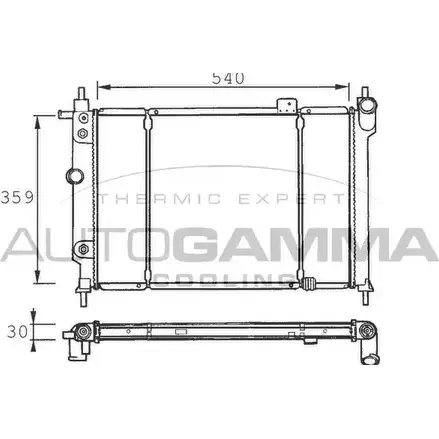 Радиатор охлаждения двигателя AUTOGAMMA 100667 1 C66W 3848235 6USF0 изображение 0
