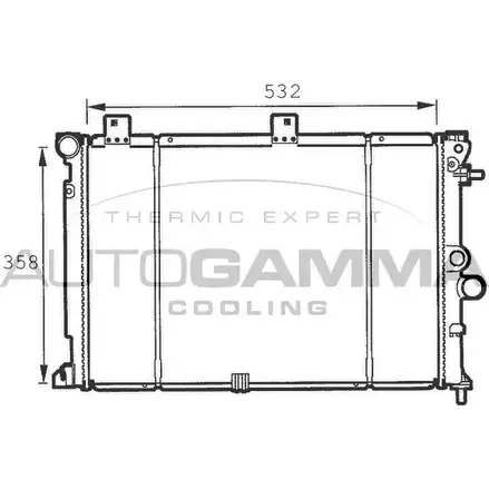 Радиатор охлаждения двигателя AUTOGAMMA 3848293 DMWPJ 100728 R2SY G изображение 0