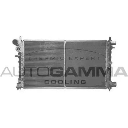 Радиатор охлаждения двигателя AUTOGAMMA VUQN5 7H 100737 3848302 WETOED изображение 0