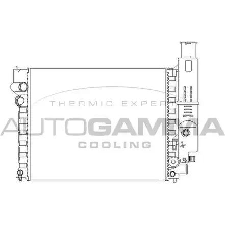 Радиатор охлаждения двигателя AUTOGAMMA 100764 J0YZGY 3848327 X UKXR