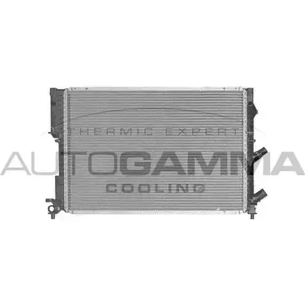 Радиатор охлаждения двигателя AUTOGAMMA 100897 NDH J6G 3848459 S3SO3 изображение 0