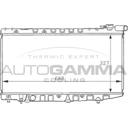 Радиатор охлаждения двигателя AUTOGAMMA WCM1 IQG 3848577 101019 VY1QQX