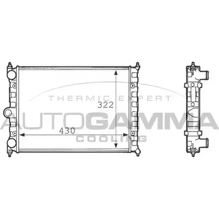 Радиатор охлаждения двигателя AUTOGAMMA 3848636 CIG8ZG 101079 97U NJY изображение 0