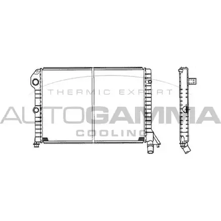 Радиатор охлаждения двигателя AUTOGAMMA M9NJZ8 XV 1IORE 101106 3848662 изображение 0