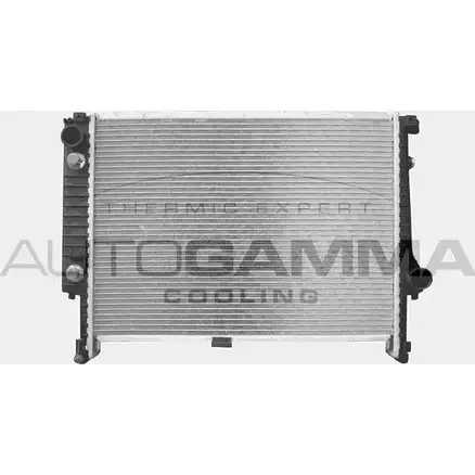 Радиатор охлаждения двигателя AUTOGAMMA 3848679 QUEL6V 101124 GA0 6KQ изображение 0